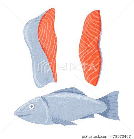 Fresh tasty salmon sea fish with fillets vector... - Stock Illustration ...