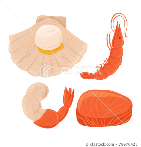 Fresh tasty seafood scallop, tuna steak and shrimp vector hand drawn illustration isolated on white background. Fresh tasty seafood scallop, tuna steak and shrimp vector hand drawn illustration isolated on white background. 78970423