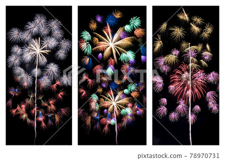 [Fireworks image] Senwa chrysanthemum collection. A fireworks display in which many florets bloom all at once. 78970731
