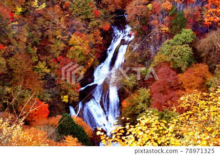 日光霧降美麗的秋葉，是日本秋天的代名詞 78971325