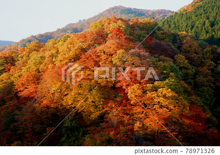 美麗的日光秋葉，日本秋天的代名詞 78971326