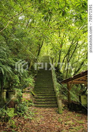德島縣海陽町Todoroki Falls 散步道 德島縣海陽町Todoroki Falls 散步道 78971391