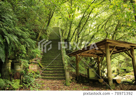 德島縣海陽町Todoroki Falls 散步道 德島縣海陽町Todoroki Falls 散步道 78971392