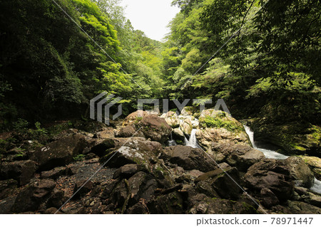 德島縣海陽町的瀑布散步道上的風景 德島縣海陽町的瀑布散步道上的風景 78971447