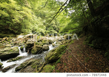 德島縣海陽町的瀑布散步道上的風景 德島縣海陽町的瀑布散步道上的風景 78971448