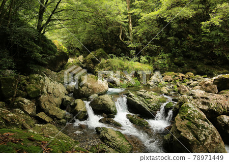 德島縣海陽町的瀑布散步道上的風景 德島縣海陽町的瀑布散步道上的風景 78971449