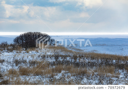 Scenery of Notsukizaki 78972679