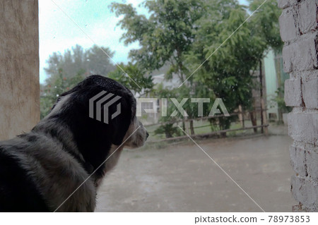 躲避突如其來的雨 78973853