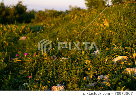 Mountain path uphill to the sky at sunset 78973867