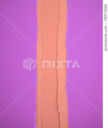 Hopbush purple color papers with burnt yellow torn papers texture abstract background. Hopbush purple color papers with burnt yellow torn papers texture abstract background. 78973888