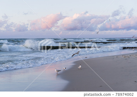 Sea, front scenic view of waves on the beach, travel and summer panoramic background, web banner 78974002
