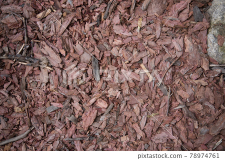 Wood chips. Tree bark elements. Natural coating, environmental friendliness. Wood processing. Reuse 78974761