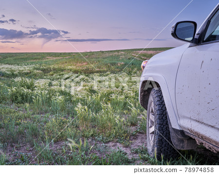 SUV car is riding at dusk through a green prairie 78974858