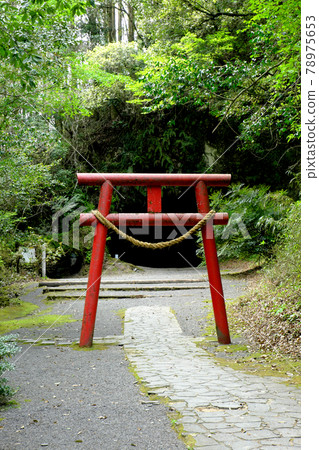 Mizonokuchi Cave surrounded by forest 78975653