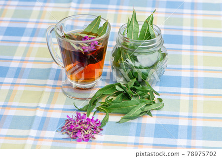 Cup of Fireweed herbal tea, fresh fireweed flowers and leaves. Cup of Fireweed herbal tea, fresh fireweed flowers and leaves. 78975702