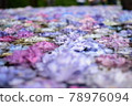 Hydrangea floating in water 78976094