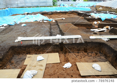 挖掘調查 78976148
