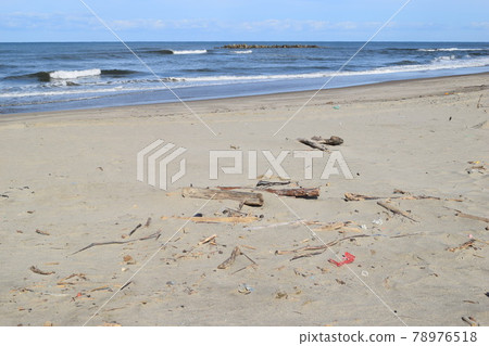 海岸上的浮木 海岸上的浮木 78976518