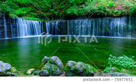 Shiraito Falls(輕井澤) Shiraito Falls(輕井澤) 78977651