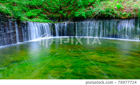Shiraito Falls(輕井澤) Shiraito Falls(輕井澤) 78977724