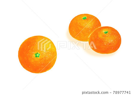 橙 橙 78977741