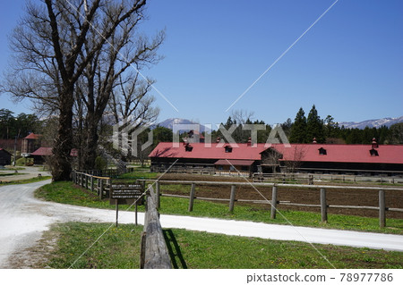 Koiwai farm in spring Koiwai farm in spring 78977786