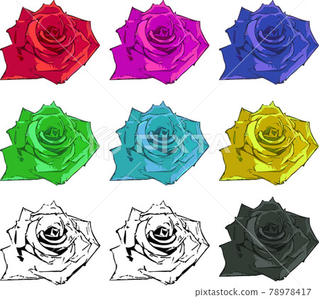 Beautiful rose flower color set 78978417