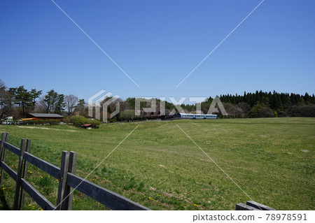 Spring Koiwai Farm SLD51 78978591