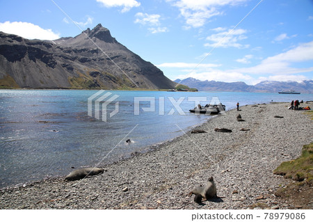 Scenery around the whaling base Grytviken (South Georgia Island) 78979086