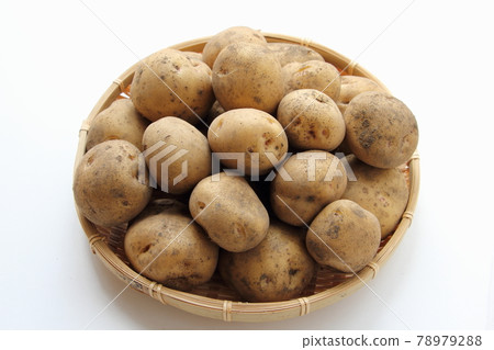 馬鈴薯(北明里) 馬鈴薯(北明里) 78979288