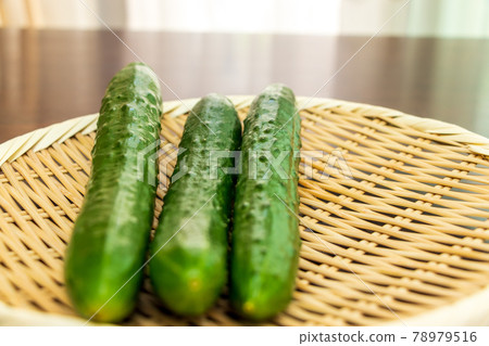 Freshly harvested cucumber Freshly harvested cucumber 78979516
