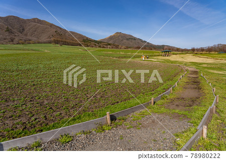 在岡山縣真庭市春天的 Hiruzen Jersey Land 騎著玩具奶牛的父母和孩子 78980222