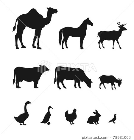 Farm Animal Logo Design Vector Farm Animal Logo Design Vector 78981003