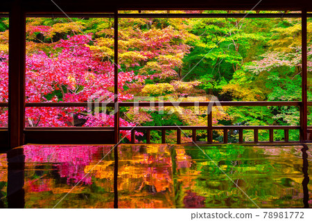 秋葉與琉璃光院的倒影 秋葉與琉璃光院的倒影 78981772