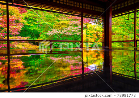 秋葉與琉璃光院的倒影 78981778