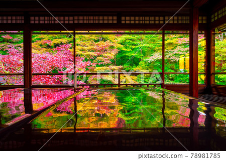 秋葉與琉璃光院的倒影 78981785