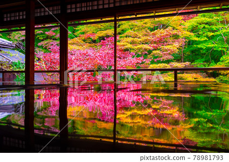 秋葉與琉璃光院的倒影 秋葉與琉璃光院的倒影 78981793