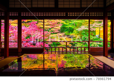 Autumn leaves and reflection of Rurikoin Autumn leaves and reflection of Rurikoin 78981794