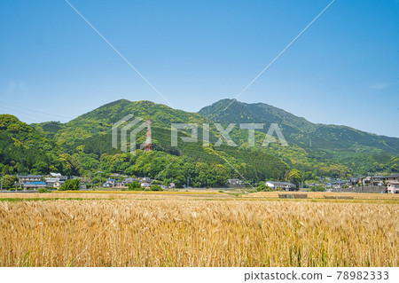 Mt. Homan straddling Chikushino City and Dazaifu City, Fukuoka Prefecture 78982333