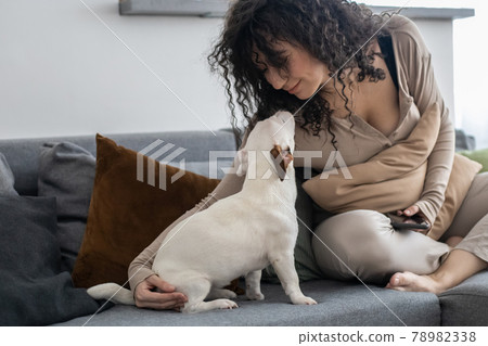 Young curly woman chatting surfing internet use smartphone on couch with dog Jack Russell Terrier Young curly woman chatting surfing internet use smartphone on couch with dog Jack Russell Terrier 78982338