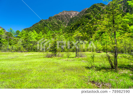 《長野縣》鮮綠色的上高地、田代沼澤和六白山 《長野縣》鮮綠色的上高地、田代沼澤和六白山 78982590