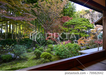 京都大原法泉院銀行園 京都大原法泉院銀行園 78982642