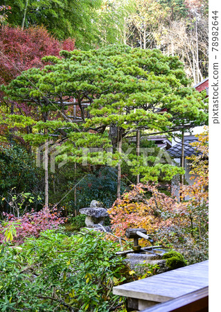 京都大原法泉院銀行園 78982644