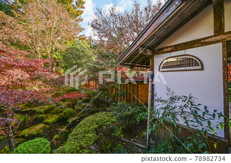 京都大原法泉院鶴龜庭園 京都大原法泉院鶴龜庭園 78982734