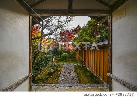 京都大原寶泉院的秋葉 京都大原寶泉院的秋葉 78982737