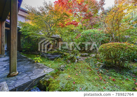京都大原寶泉院的秋葉 京都大原寶泉院的秋葉 78982764