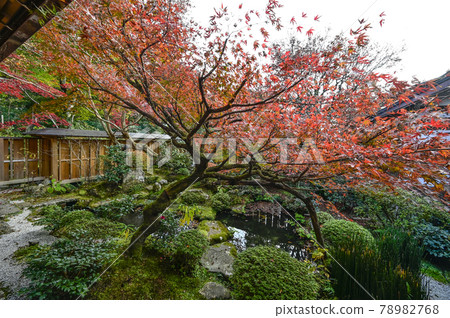 京都大原法泉院鶴龜庭園 京都大原法泉院鶴龜庭園 78982768
