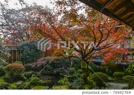 京都大原法泉院鶴龜庭園 京都大原法泉院鶴龜庭園 78982769