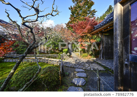 京都大原寶泉院的秋葉 78982776