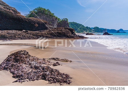 (Shizuoka Prefecture) Kisami Ohama, Izu Shimoda, sandy beach and rocky area (Shizuoka Prefecture) Kisami Ohama, Izu Shimoda, sandy beach and rocky area 78982836